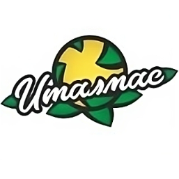 Лого Италмас-ИжГТУ